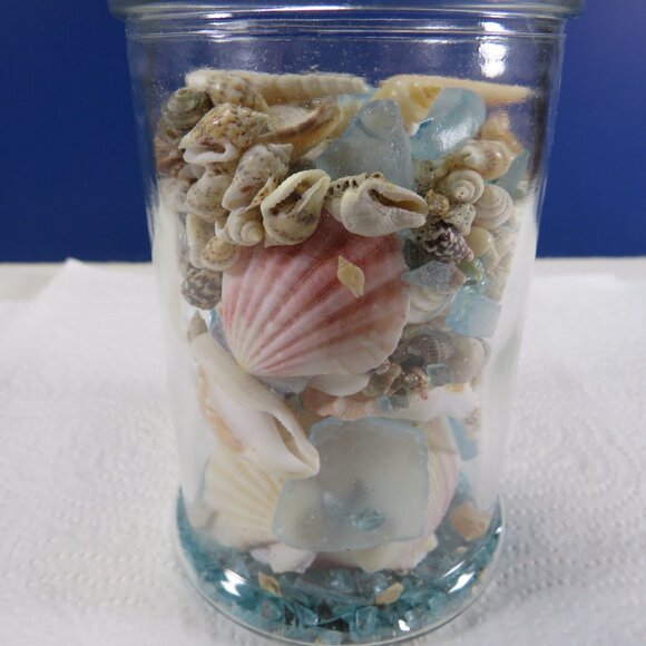 REAL sea shells in a New Glass Jar w seal & lid 5.75" tall (1+ pounds) - Picture 5 of 12